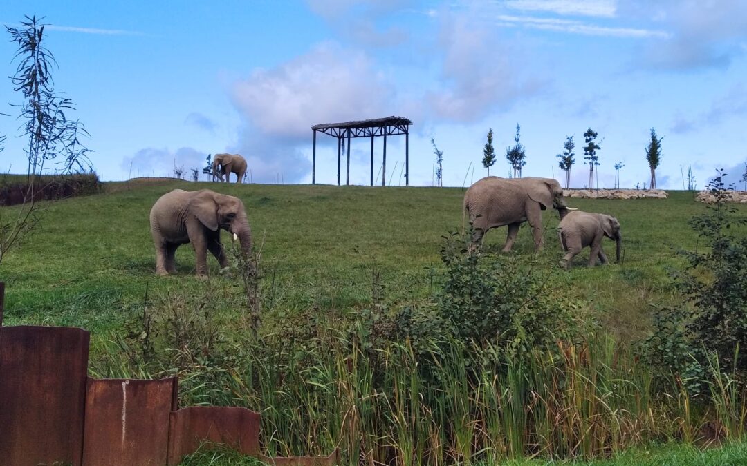 Podzimní Zoo Zlín